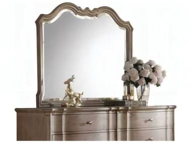 Acme Furniture Chelmsford Antique Taupe Dresser Mirror ACF26054