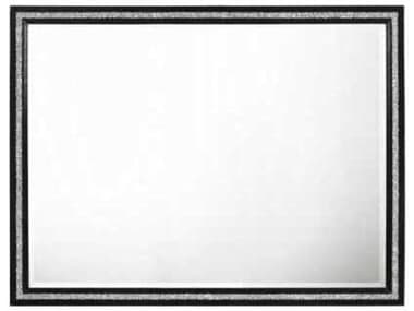 Acme Furniture Haiden Weathered Black Rectangular Wall Mirror ACF28434
