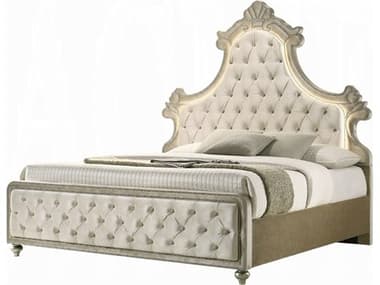 Acme Furniture Lucienne Beige Velvet Rubberwood Upholstered Queen Panel Bed ACFBD02335Q