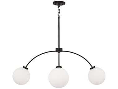 Capital Lighting Amos 4-Light Black Iron Globe Chandelier C2457141BI557