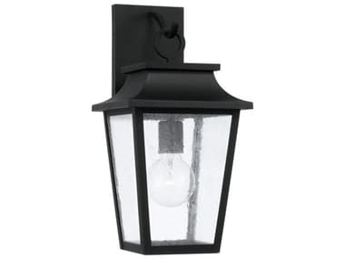 Capital Lighting Chandler 1-Light Outdoor Wall Light C2953311BK