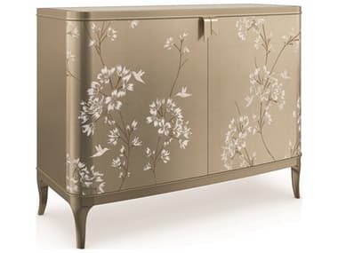 Caracole Classic Oracle Silver Leaf / Soft Paint Accent Chest CACCLA021462
