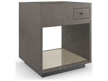 Caracole Classic Dark Matter 22" Rectangular Mirror Twilight Frost End Table CACCLA423412