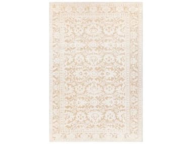 Chandra Ayla Bordered Area Rug CDAYL58002