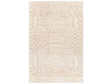 Chandra Ayla Bordered Area Rug CDAYL58003