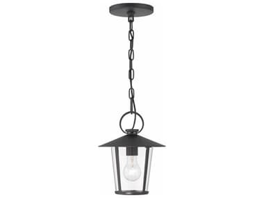 Crystorama Andover 1 - Light Outdoor Hanging Light with Clear Glass Shade CRYAND9203CLMK