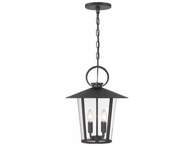 Crystorama Andover 4 - Light Outdoor Hanging Light with Clear Glass Shade CRYAND9204CLMK