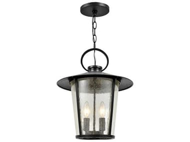 Crystorama Andover 4 - Light Outdoor Hanging Light with Clear Seeded Glass Shade CRYAND9204SDMK