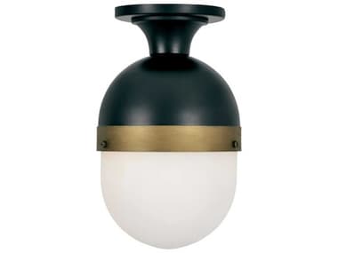 Crystorama Capsule Glass Outdoor Ceiling Light CRYCAP8500MKTG
