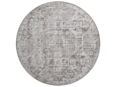 Dalyn Aberdeen Floral Area Rug DLAB2CF8RO