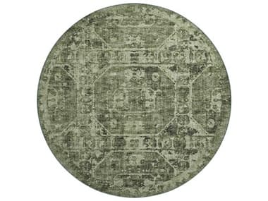 Dalyn Aberdeen Floral Area Rug DLAB2CS8RO