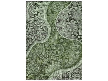 Dalyn Chantille Paisley Area Rug DLACN1078OLIVE