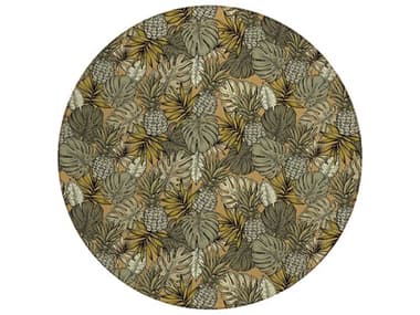 Dalyn Tropics Graphic Area Rug DLTC11CL8RO