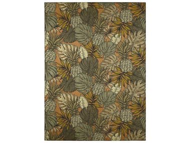 Dalyn Tropics Graphic Area Rug DLTC11CLAY