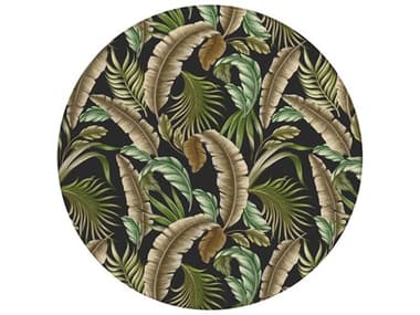 Dalyn Tropics Graphic Area Rug DLTC1BK8RO