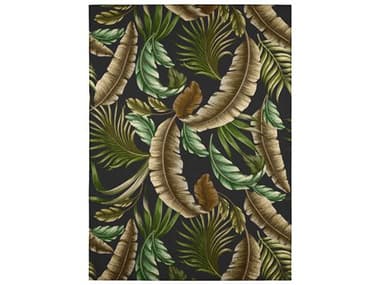 Dalyn Tropics Graphic Area Rug DLTC1BLACK