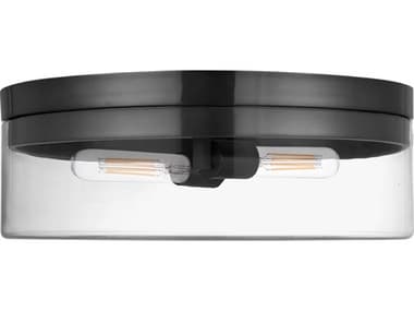 Dainolite Fiona 2-Light Matte Black Flush Mount DNFNA142FHMBCLR