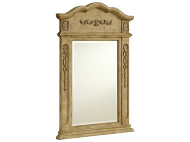 Elegant Lighting Antique Beige 24''W x 36''H Vanity Mirror EGVM1001