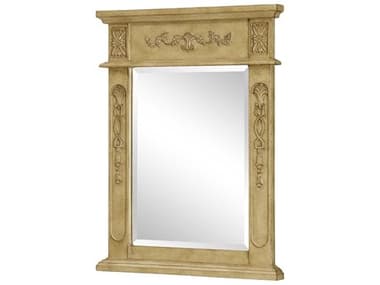 Elegant Lighting Antique Beige 22''W x 36''H Vanity Mirror EGVM1003