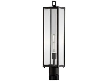 Elk Home Capture 1-Light Outdoor Post Light EK1188MBCL