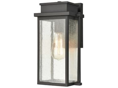 Elk Home Braddock 1 - Light Glass Outdoor Wall Light EK454401