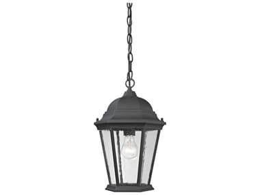 Elk Home Temple Hill 1-Light Outdoor Hanging Light EK8101EH65