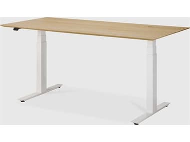Ethnicraft Oak With White Adjustable Desk ETH26116