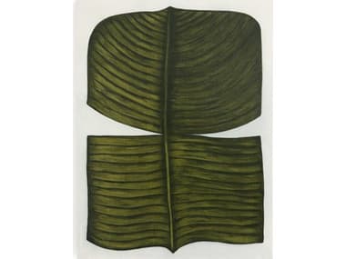 Four Hands Art Studio Ficus Elastica by Marianne Hendriks Maple Box  Canvas Wall Art FS107331004