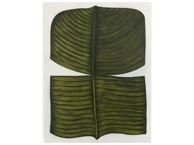 Four Hands Art Studio Ficus Elastica by Marianne Hendriks Maple Box  Canvas Wall Art FS107331005