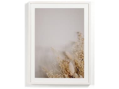 Four Hands Art Studio Dried Floral I by Annie Spratt White Washed Maple  Canvas Wall Art FS230434002