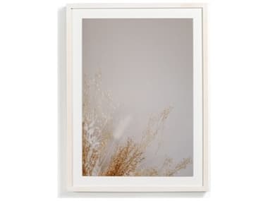 Four Hands Art Studio Dried Floral II by Annie Spratt White Washed Maple  Canvas Wall Art FS230435002