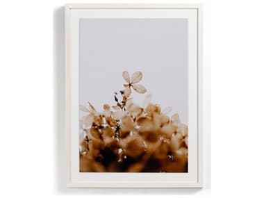 Four Hands Art Studio Greetings by Annie Spratt White Washed Maple  Canvas Wall Art FS230437002