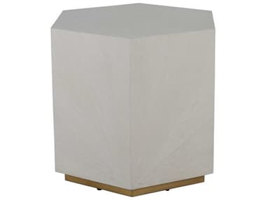 Gabby 26" Hexagon Wood Cerused White Stain Gold End Table GASCH192284