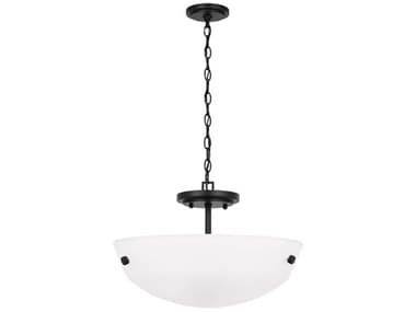 Generation Lighting Kerrville 2-Light Midnight Black Bowl Pendant GEN7715202112