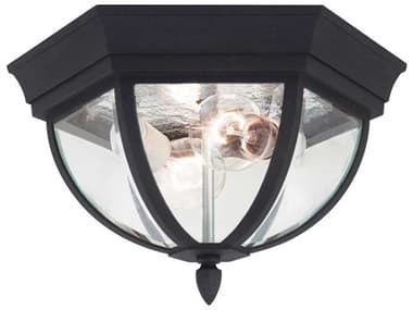 Generation Lighting Wynfield 2 - Light Outdoor Ceiling Light GEN7813612