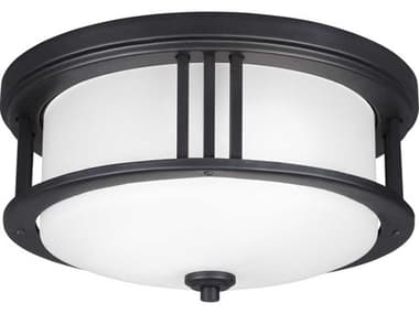 Generation Lighting Crowell 2-Light Outdoor Ceiling Light GEN784790212