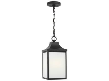 Generation Lighting Say Brook 1-Light Outdoor Hanging Light GENGLO1041TXB