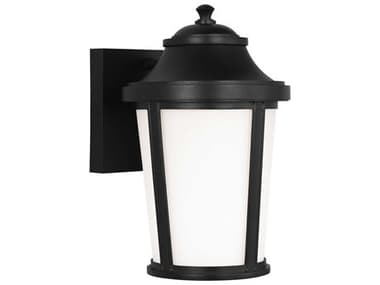 Generation Lighting Portola 1-Light Outdoor Wall Light GENGLO1141TXB