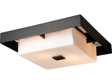 Hubbardton Forge Shadow Box 2-Light Outdoor Ceiling Light HBF363100