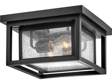 Hinkley Republic 2 - Light Outdoor Ceiling Light HY1003BK