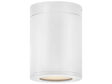 Hinkley Silo 1 - Light Outdoor Ceiling Light HY13592SWLL