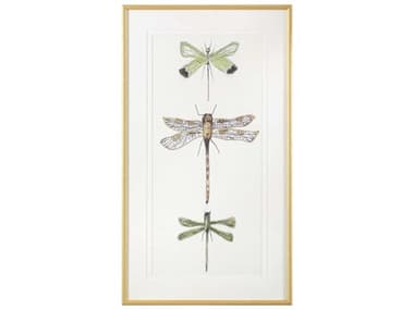 John Richard Joy Colangelo's Joyful Dragonflies-I Print / Painting JRGBG2492A