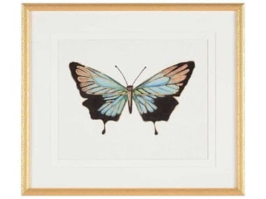 John Richard Joy Colangelo's Beautiful Wings-I Print / Painting JRGBG2680A