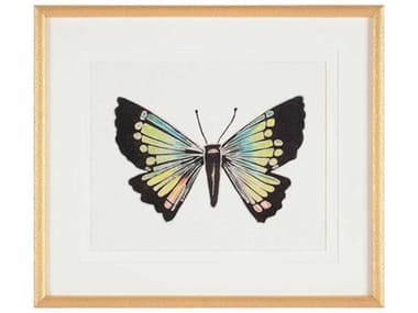 John Richard Joy Colangelo's Beautiful Wings-VI Print / Painting JRGBG2680F