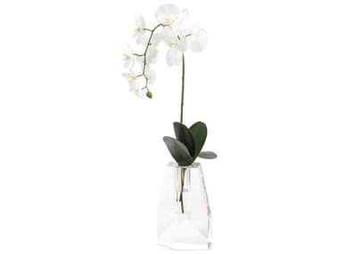 John Richard Crystal Orchid JRJRB4043W