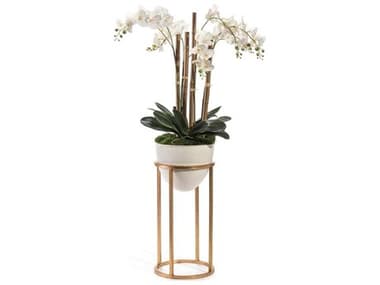 John Richard Trellis Orchids JRJRB4047