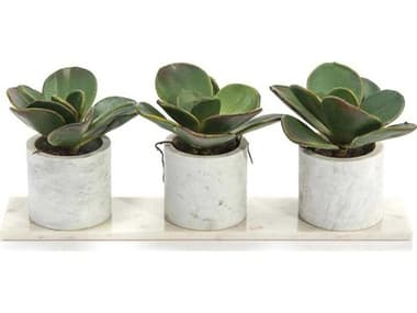 John Richard Marble Succulents JRJRB4184W