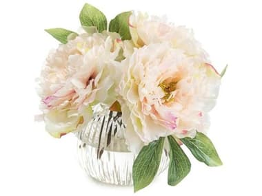 John Richard Dazzling Peonies JRJRB4193W