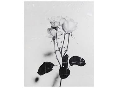 John Richard Teng Fei's White Roses Canvas Wall Art JRJRO3180