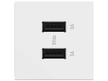 Legrand Adorne White Ultra-Fast USB Type-A/A Outlet Module LGRARUSB2AA6W4